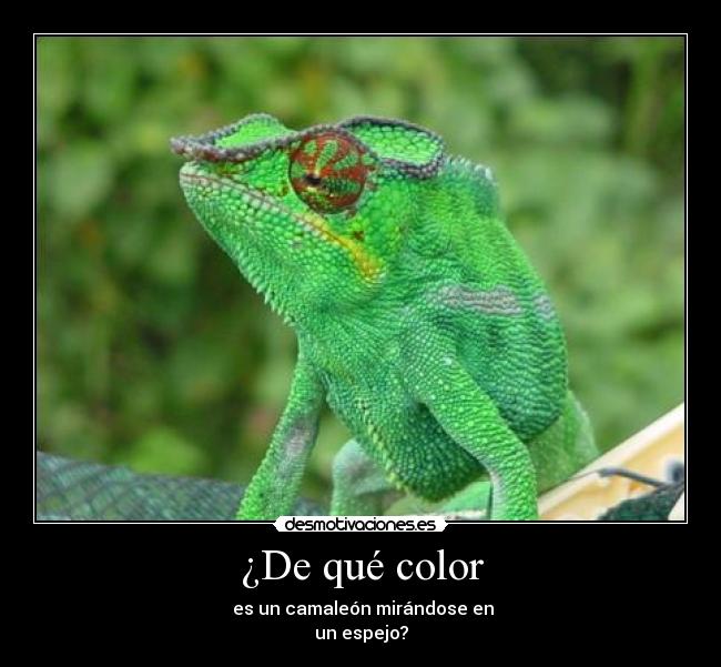 ¿De qué color - 