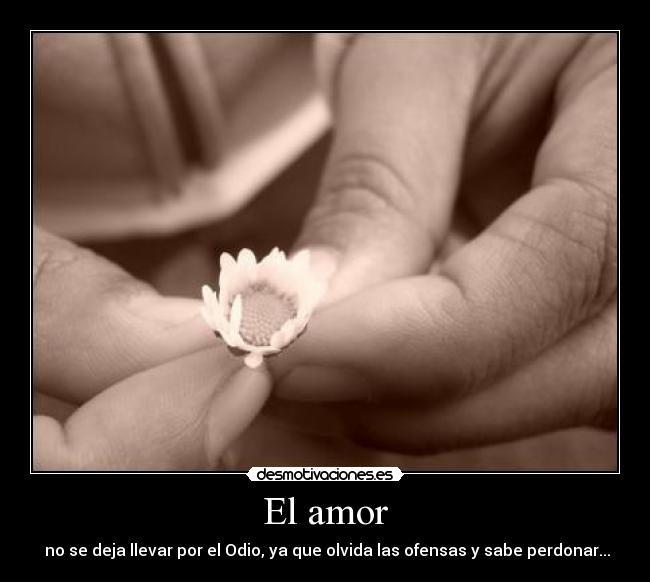 El amor -