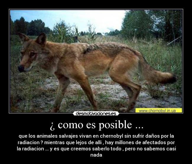 ¿ como es posible ... -