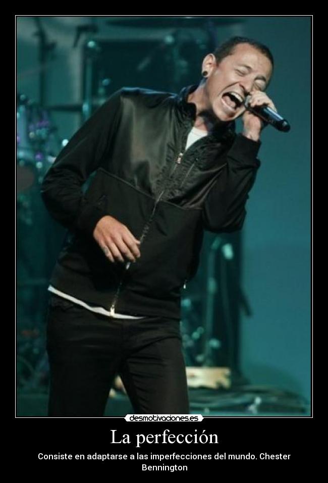 carteles dvid vgas desmotivaciones