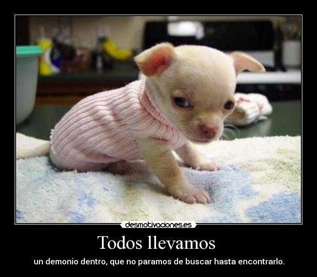 Todos llevamos - un demonio dentro, que no paramos de buscar hasta encontrarlo.