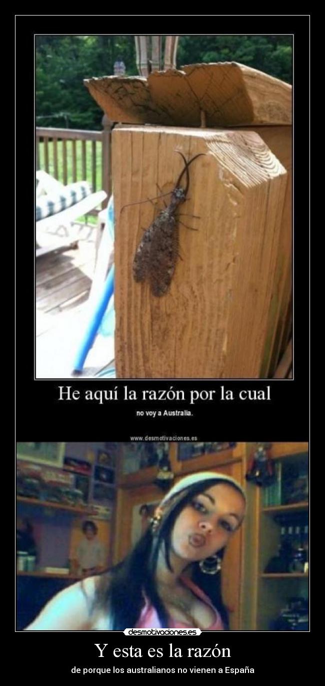 Y esta es la razón - de porque los australianos no vienen a España