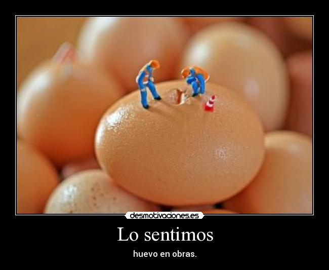 Lo sentimos - 