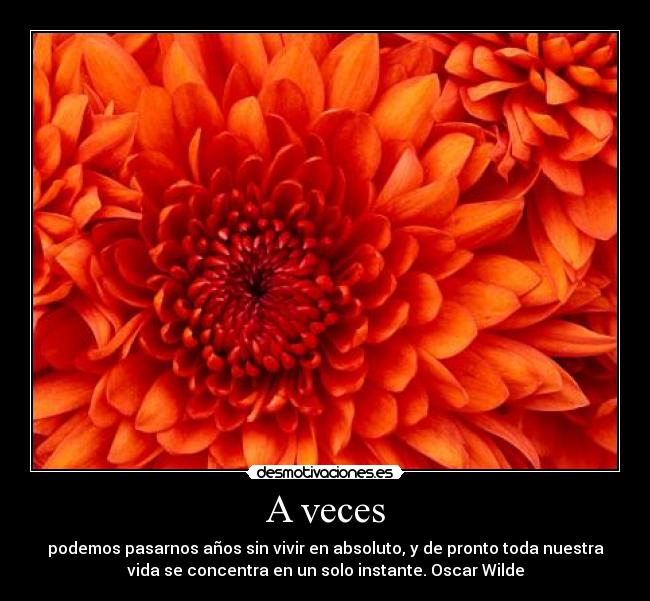 A veces - podemos pasarnos años sin vivir en absoluto, y de pronto toda nuestra
vida se concentra en un solo instante. Oscar Wilde