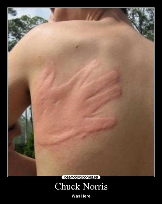 Chuck Norris -
