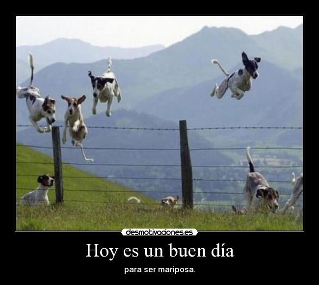 Hoy es un buen día -