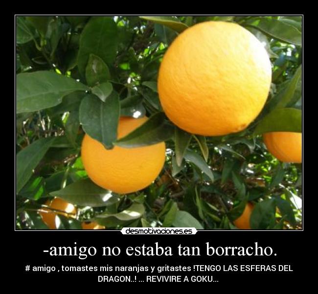 -amigo no estaba tan borracho. - 