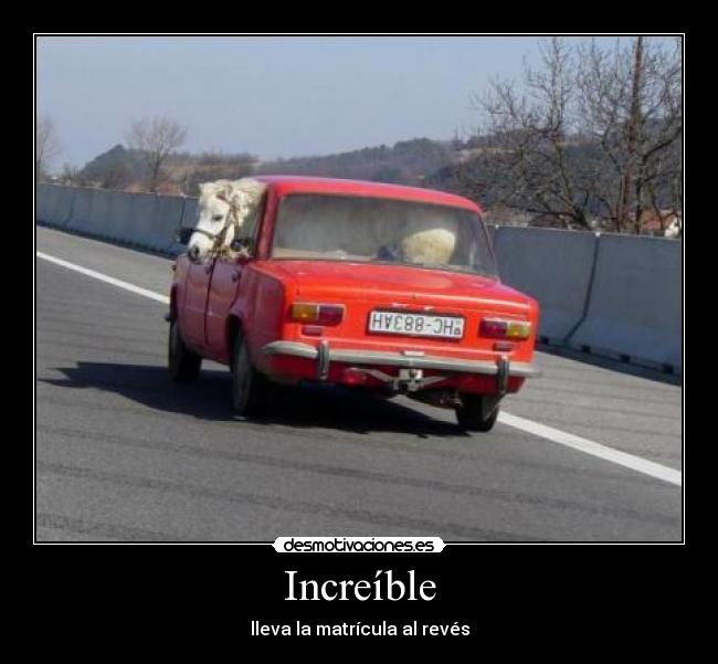 Increíble - lleva la matrícula al revés