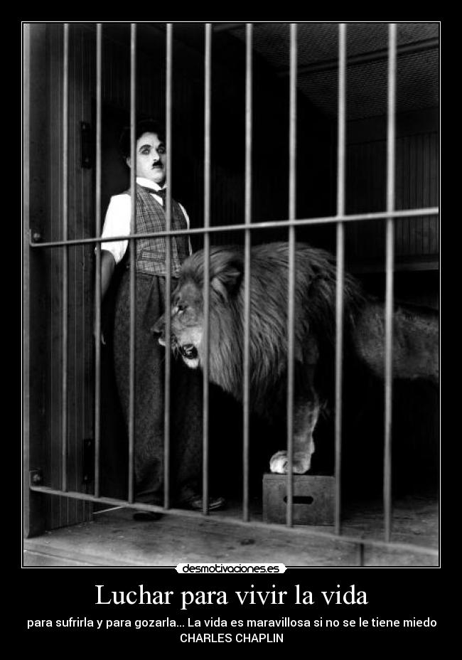 Luchar para vivir la vida - para sufrirla y para gozarla... La vida es maravillosa si no se le tiene miedo
CHARLES CHAPLIN