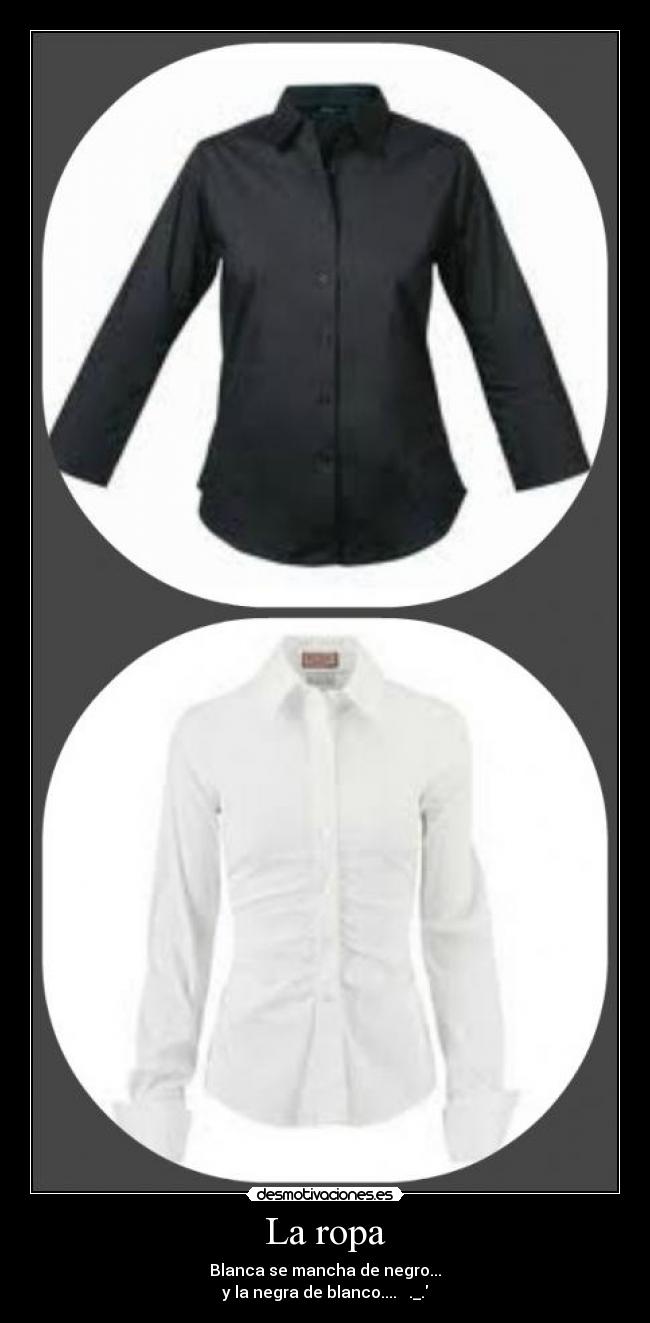 La ropa - 