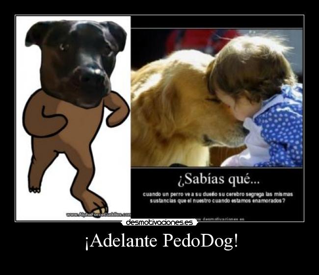 ¡Adelante PedoDog! -