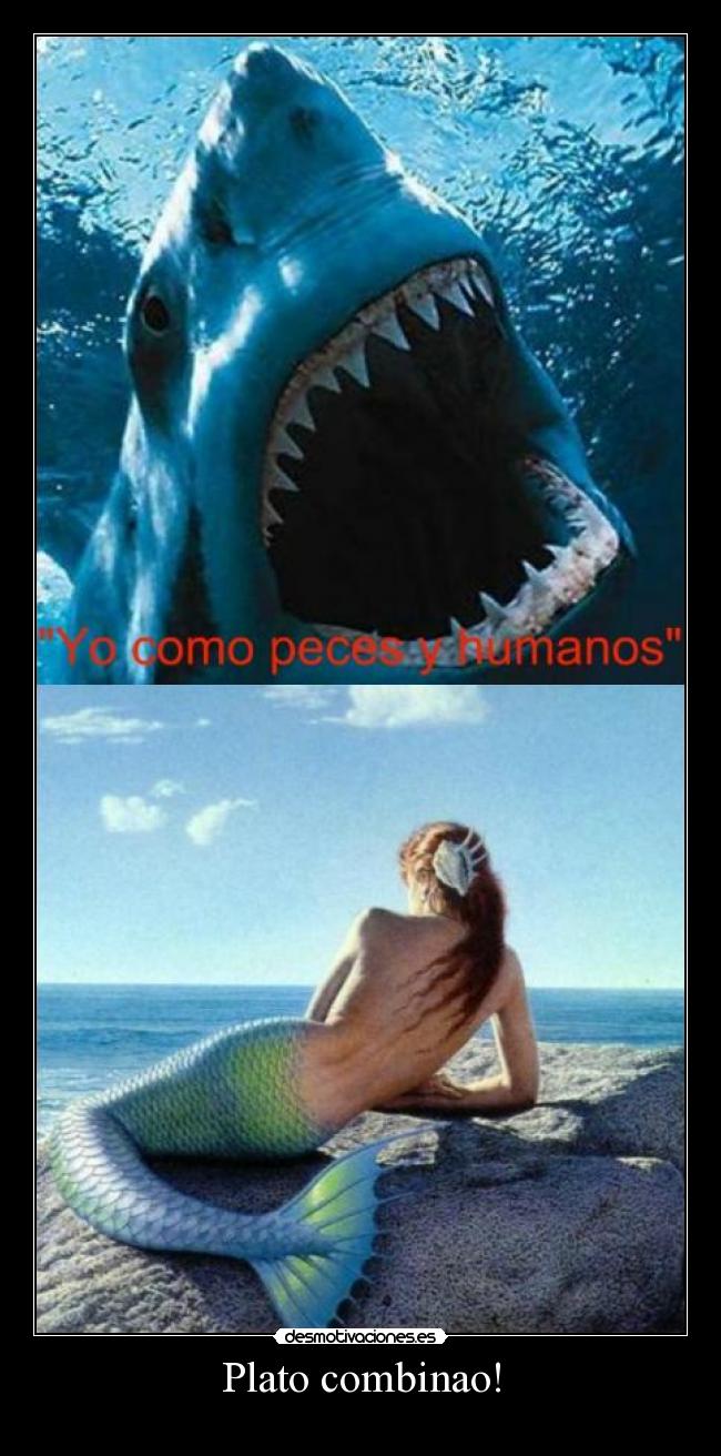 carteles viva soy una ballena uaa allxd desmotivaciones