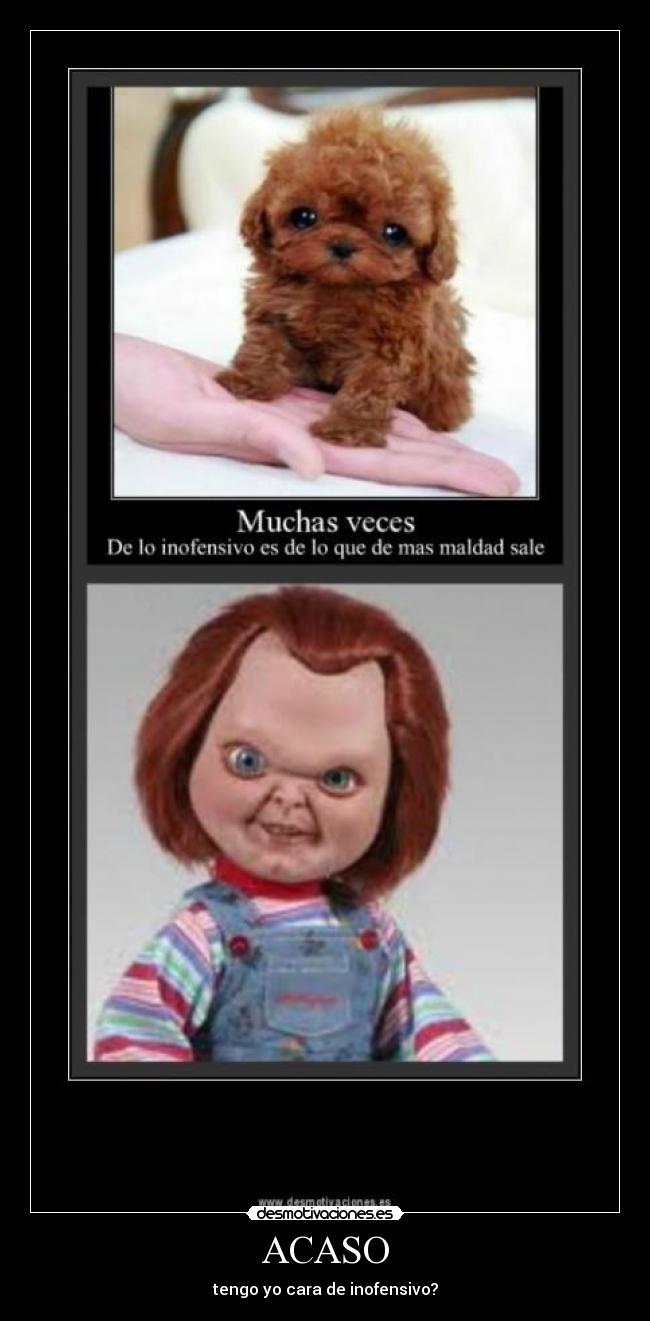 ACASO - tengo yo cara de inofensivo?