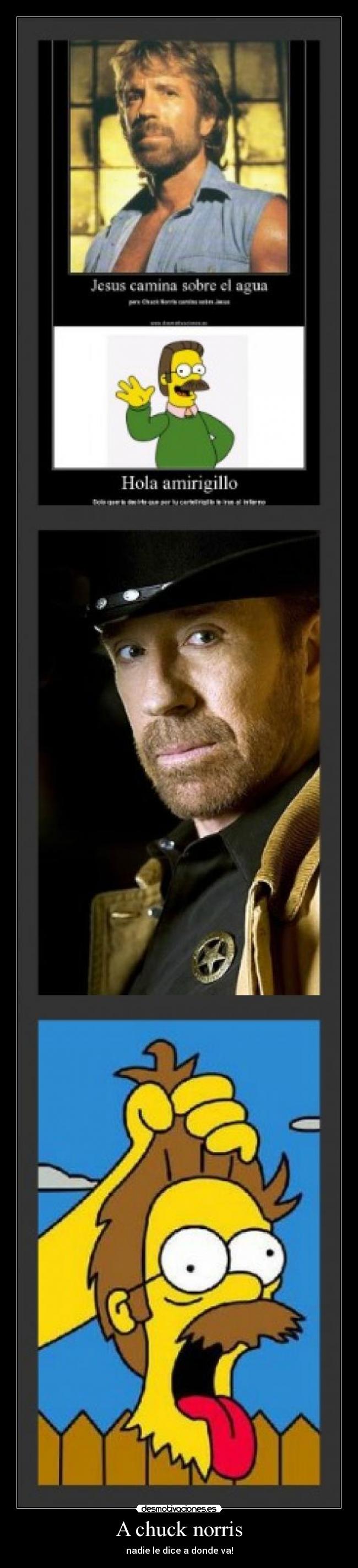 A chuck norris - nadie le dice a donde va!