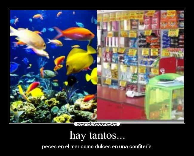 hay tantos... - 