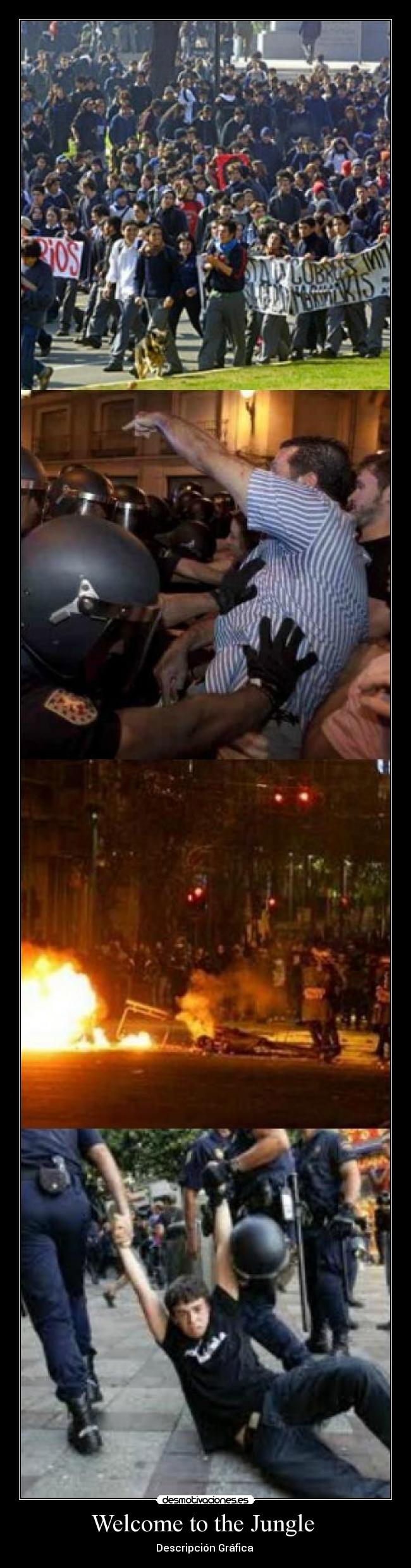 Welcome to the Jungle  - 