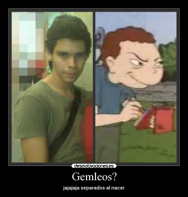Gemleos? -