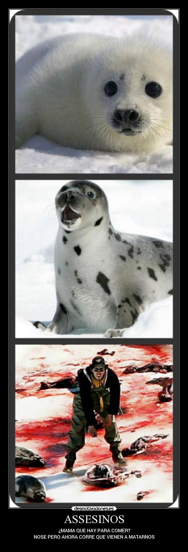 ASSESINOS - ¿MAMA QUE HAY PARA COMER?
NOSE PERO AHORA CORRE QUE VIENEN A MATARNOS