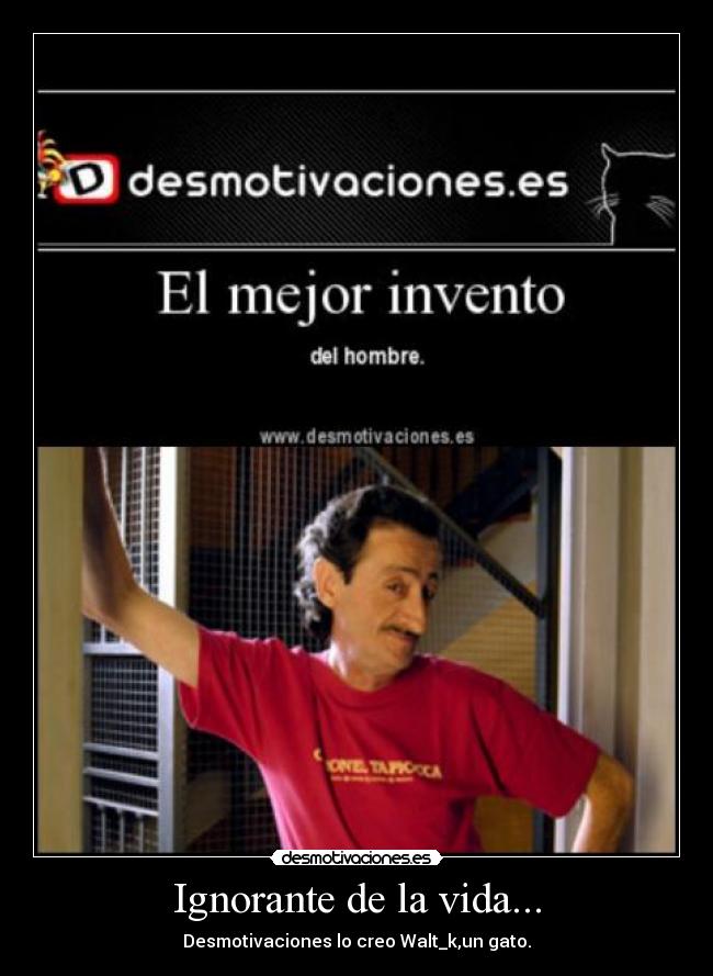 Ignorante de la vida... - Desmotivaciones lo creo Walt_k,un gato.