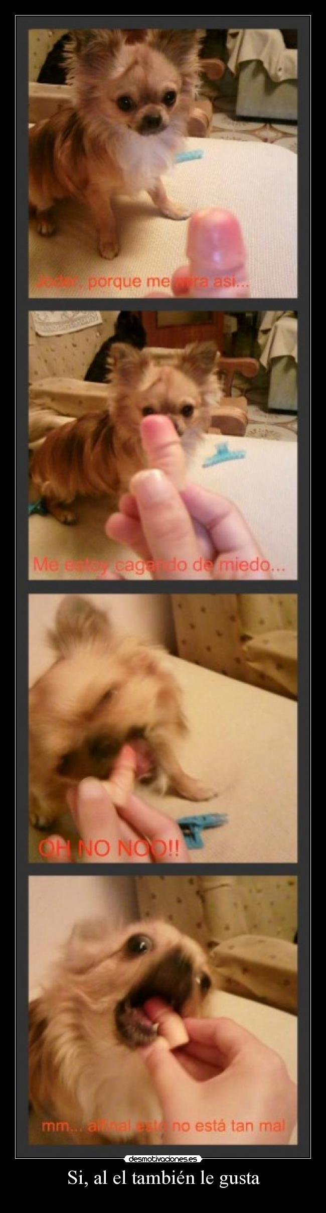 Si, al el también le gusta -