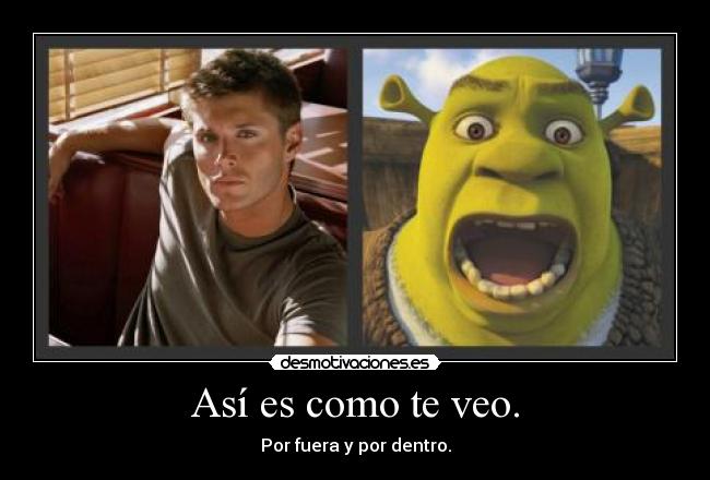 Así es como te veo. - Por fuera y por dentro.