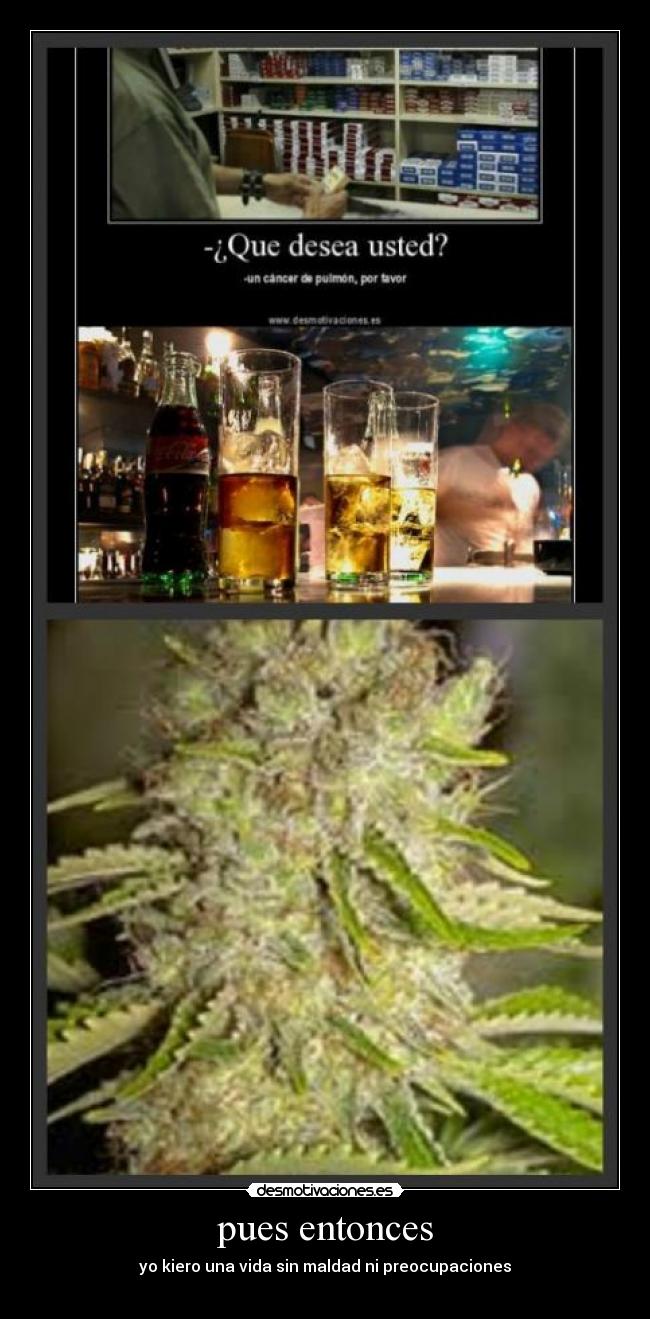 pues entonces - yo kiero una vida sin maldad ni preocupaciones