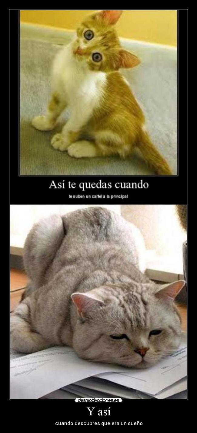 carteles descubres que era sueno desmotivaciones