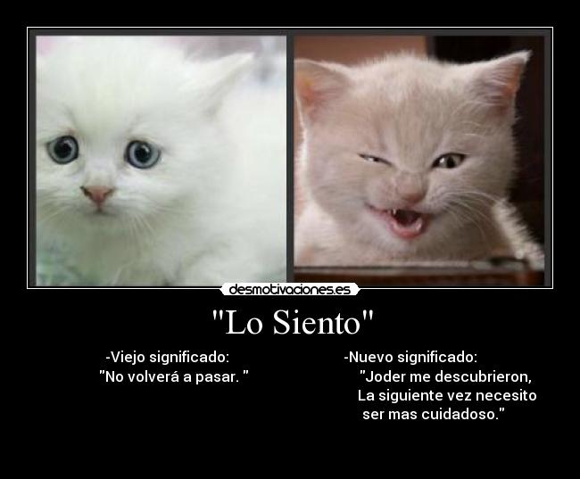 Lo Siento -