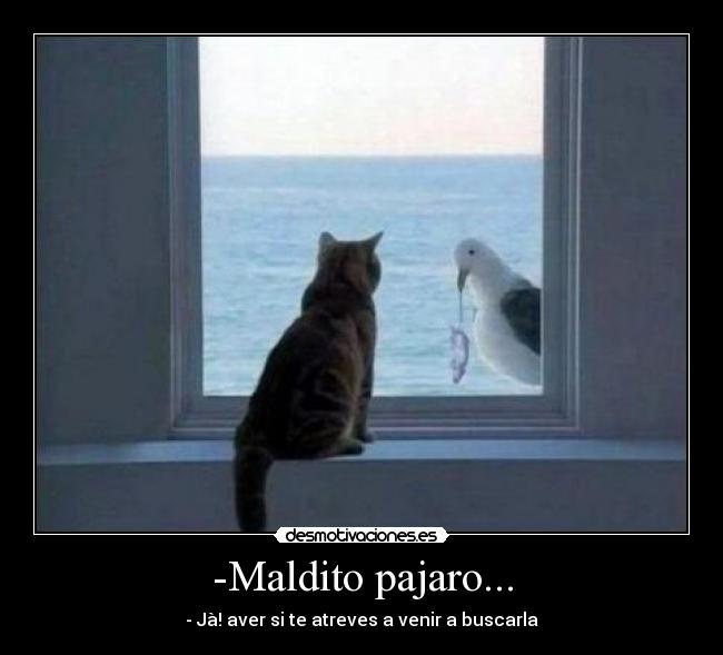 -Maldito pajaro... - 