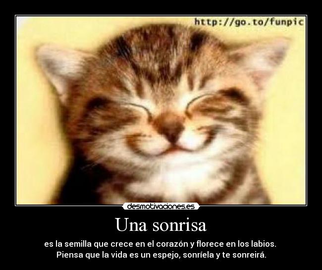 Una sonrisa - es la semilla que crece en el corazón y florece en los labios.
Piensa que la vida es un espejo, sonríela y te sonreirá.