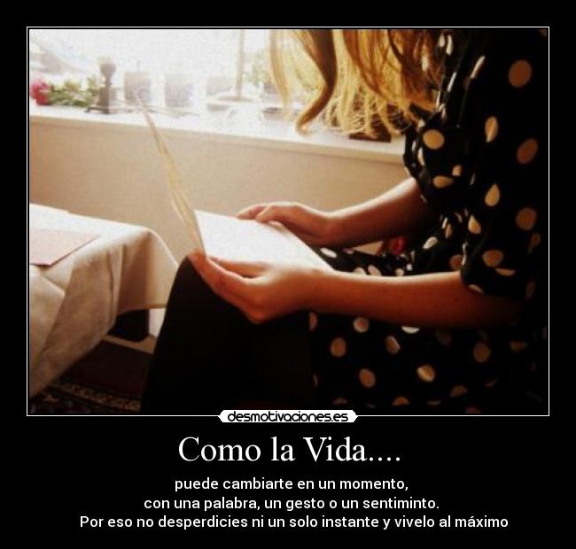 Como la Vida.... -                      puede cambiarte en un momento,                   
               con una palabra, un gesto o un sentiminto.             
   Por eso no desperdicies ni un solo instante y vivelo al máximo