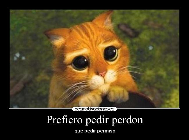 Prefiero pedir perdon -