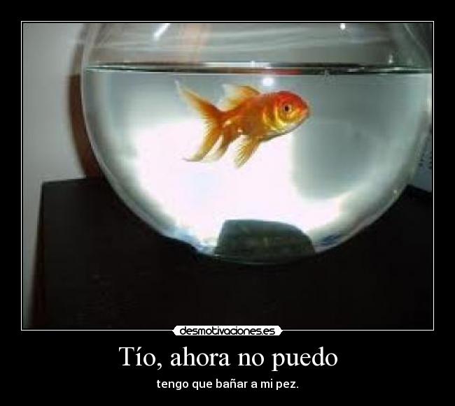 Tío, ahora no puedo -