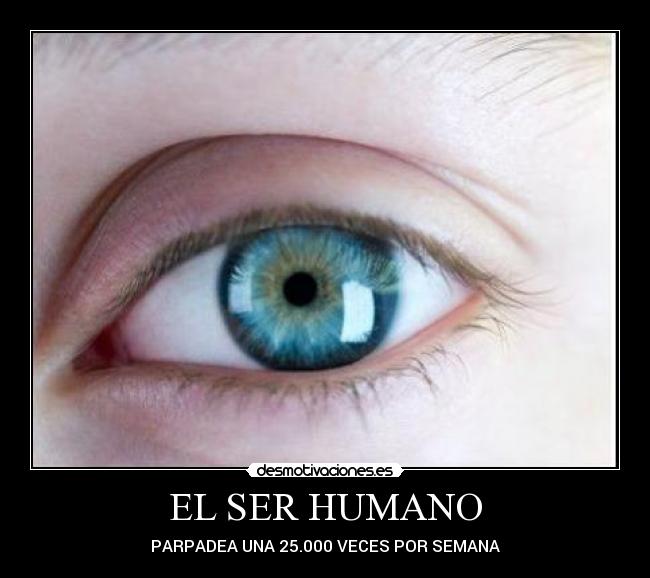 EL SER HUMANO -