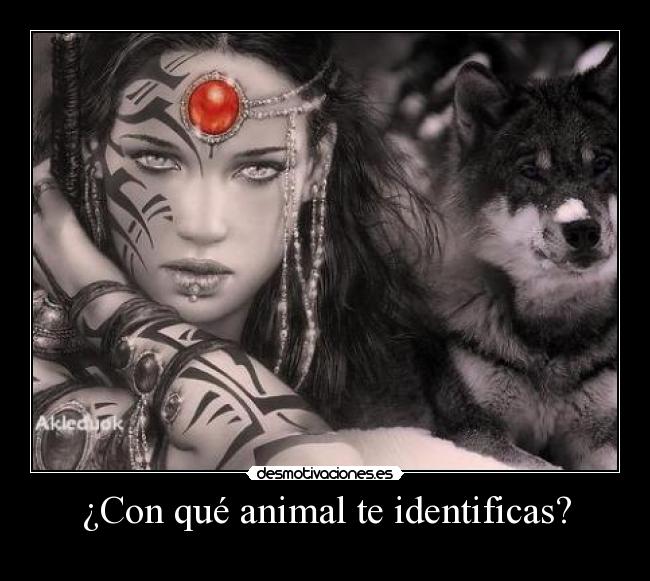 ¿Con qué animal te identificas? -