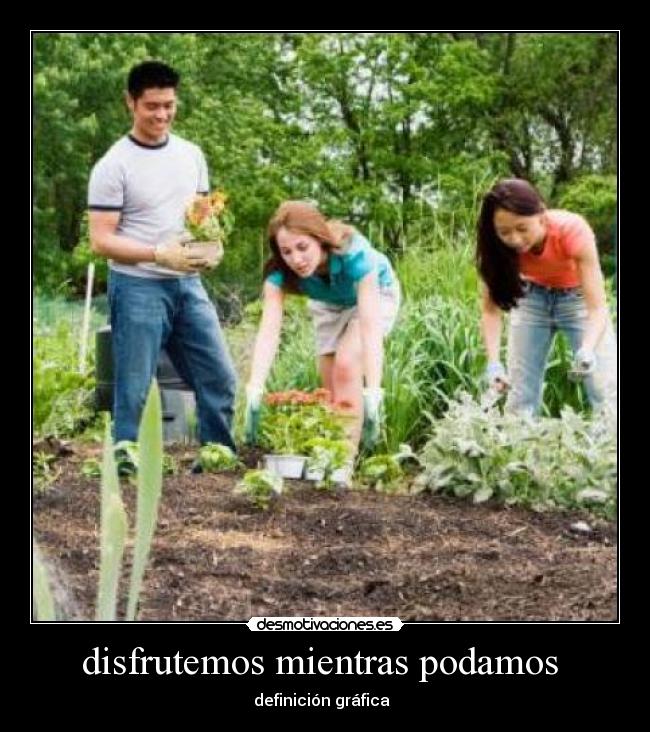 disfrutemos mientras podamos - definición gráfica