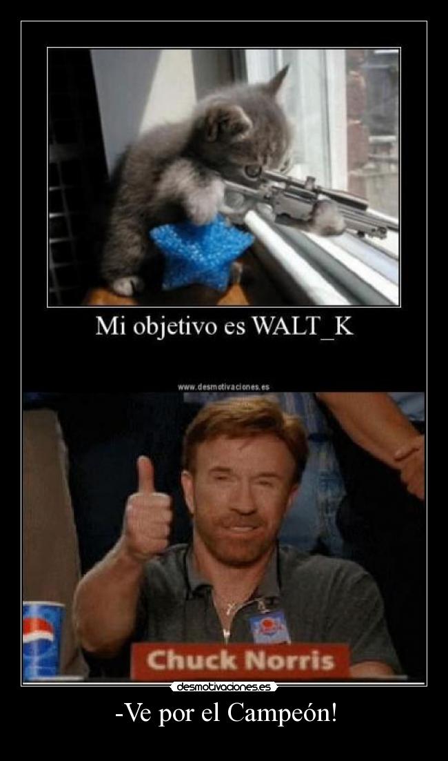 carteles soul vagabond chuck norris desmotivaciones