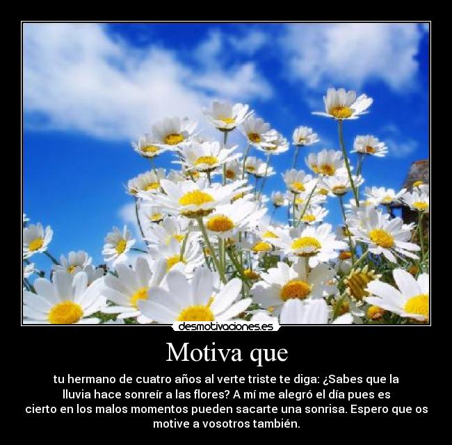 Motiva que - tu hermano de cuatro años al verte triste te diga: ¿Sabes que la
lluvia hace sonreír a las flores? A mí me alegró el día pues es
cierto en los malos momentos pueden sacarte una sonrisa. Espero que os
motive a vosotros también.