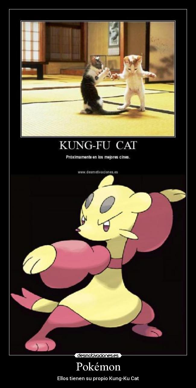 Pokémon - Ellos tienen su propio Kung-Ku Cat