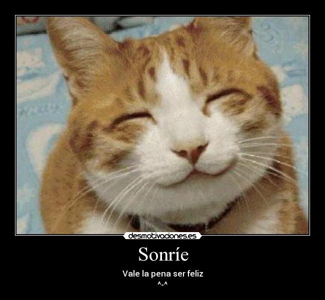 carteles soul vagabond sonrie neko desmotivaciones