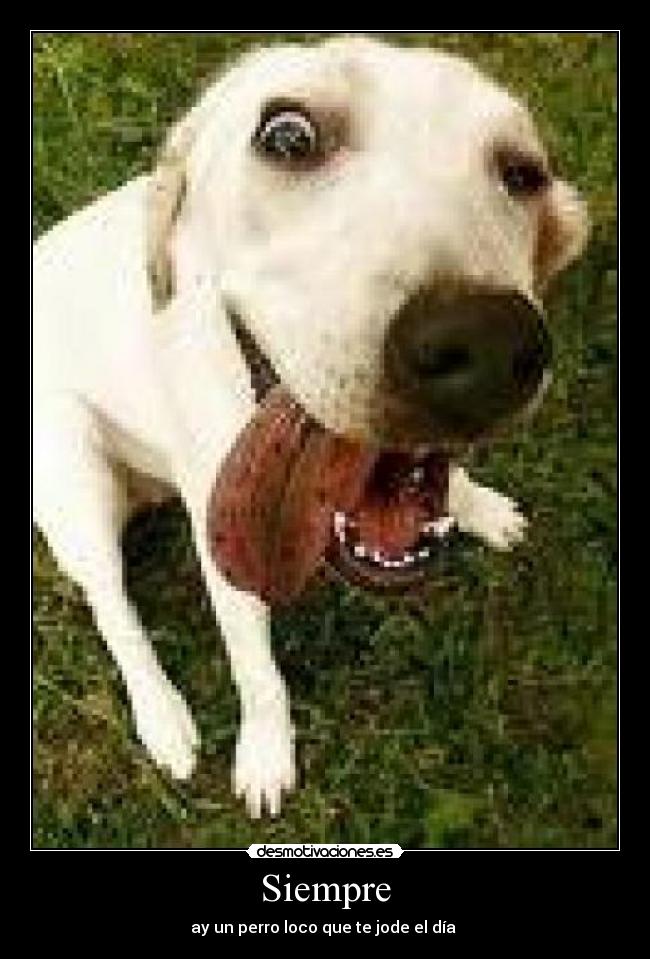 Siempre -