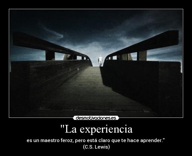 carteles lewis experiencia aprender desmotivaciones