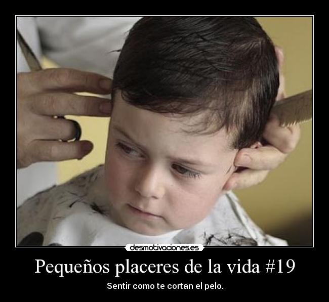 Pequeños placeres de la vida #19 -