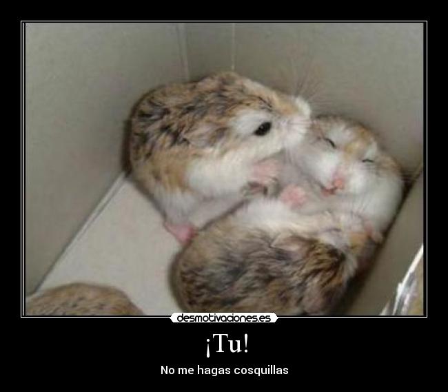¡Tu! - No me hagas cosquillas