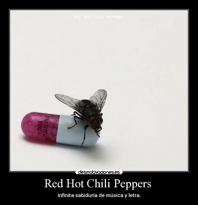 Red Hot Chili Peppers -
