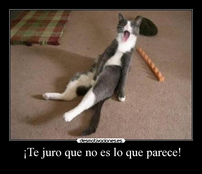 ¡Te juro que no es lo que parece! -