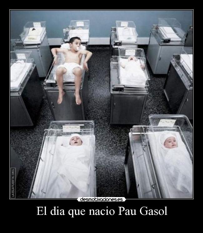 El dia que nacio Pau Gasol -
