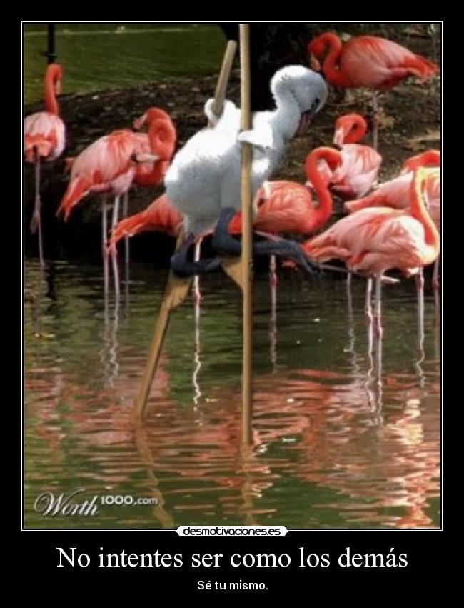 No intentes ser como los demás -