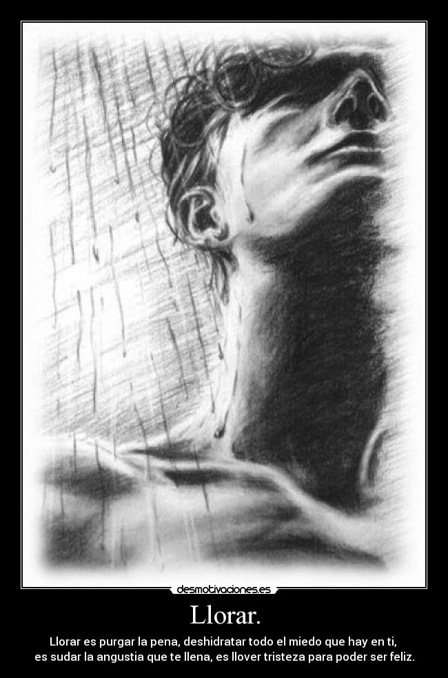 Llorar. - Llorar es purgar la pena, deshidratar todo el miedo que hay en ti,
es sudar la angustia que te llena, es llover tristeza para poder ser feliz.