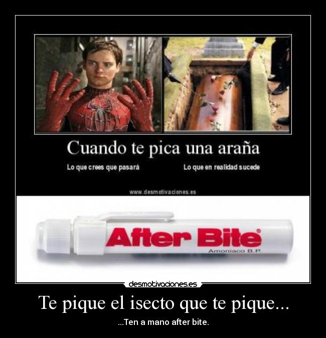 Te pique el isecto que te pique... - ...Ten a mano after bite.
